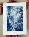 Beyond the Tidal Pool - Cyanotype Artwork