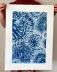 Sandy Anemones - Cyanotype Artwork