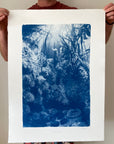 Neptunes Nook - Cyanotype Artwork
