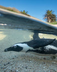 Explore the Cape Peninsula - full day tour (8 -10hrs)