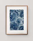 Sandy Anemones - Cyanotype Artwork