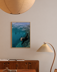 Curiosity - Digital Ocean Art