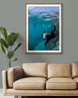 Curiosity - Digital Ocean Art