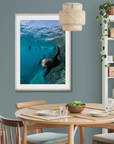Curiosity - Digital Ocean Art