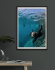 Curiosity - Digital Ocean Art