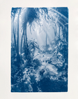 Secret Passage - Cyanotype Artwork