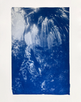 Dancing Light - Cyanotype Artwork