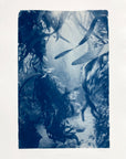 A Moment in the Forest Limited Edition