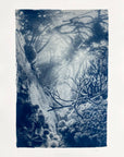 Beyond the Tidal Pool - Cyanotype Artwork