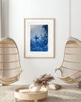 Cape Fur Seal - Cyanotype Artwork