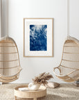 Neptunes Nook - Cyanotype Artwork
