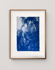 Nippled Sea Fan Nook - Cyanotype Artwork