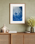 Cape Fur Seal - Cyanotype Artwork