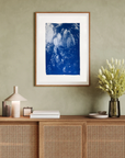 Nippled Sea Fan Nook - Cyanotype Artwork