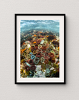 Anemone Rainbow - Digital Ocean Art