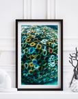 Colour Spectrum - Digital Ocean Art