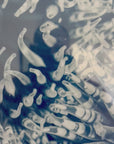 Sandy Anemones - Cyanotype Artwork