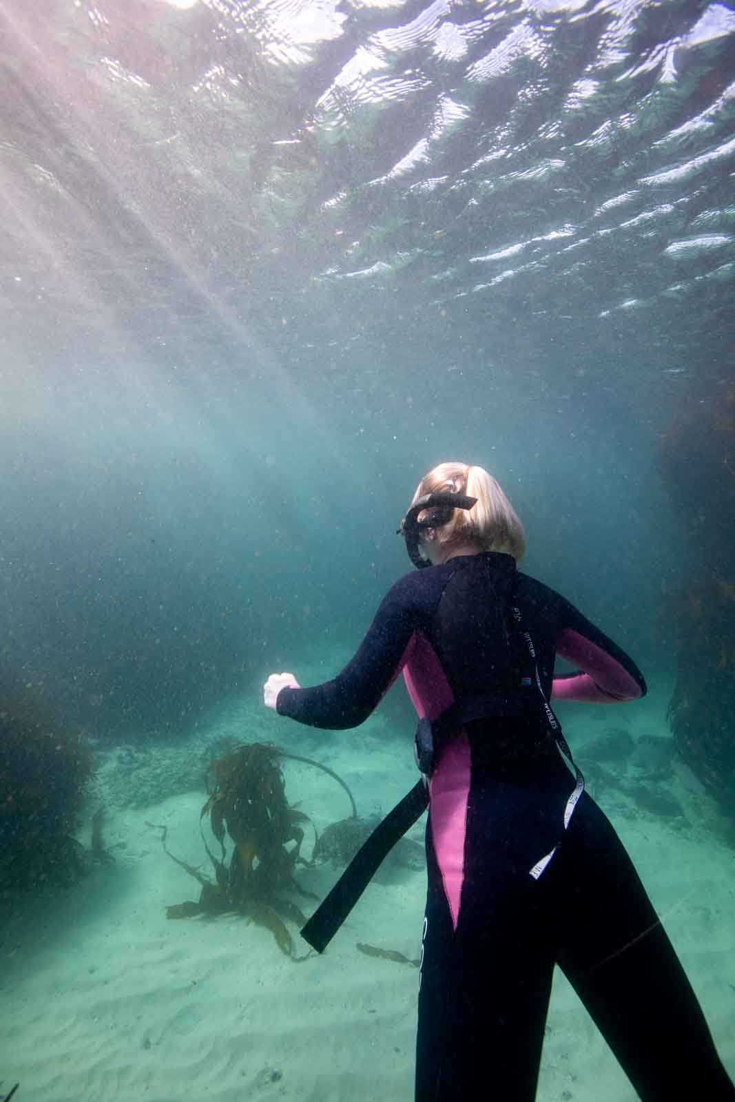 Kelp Forest Snorkeling