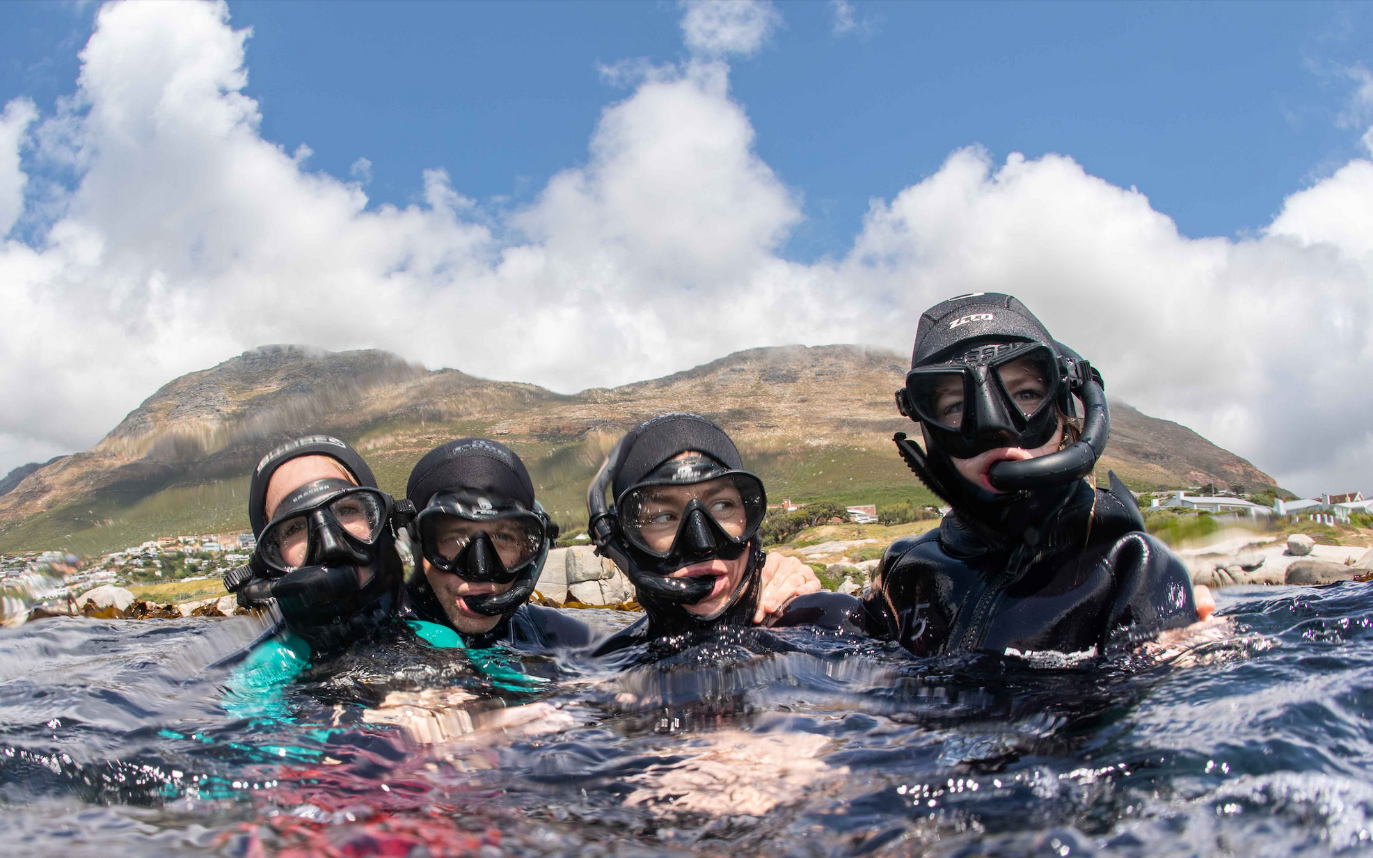 kelp forest snorkeling is safe for the whole family