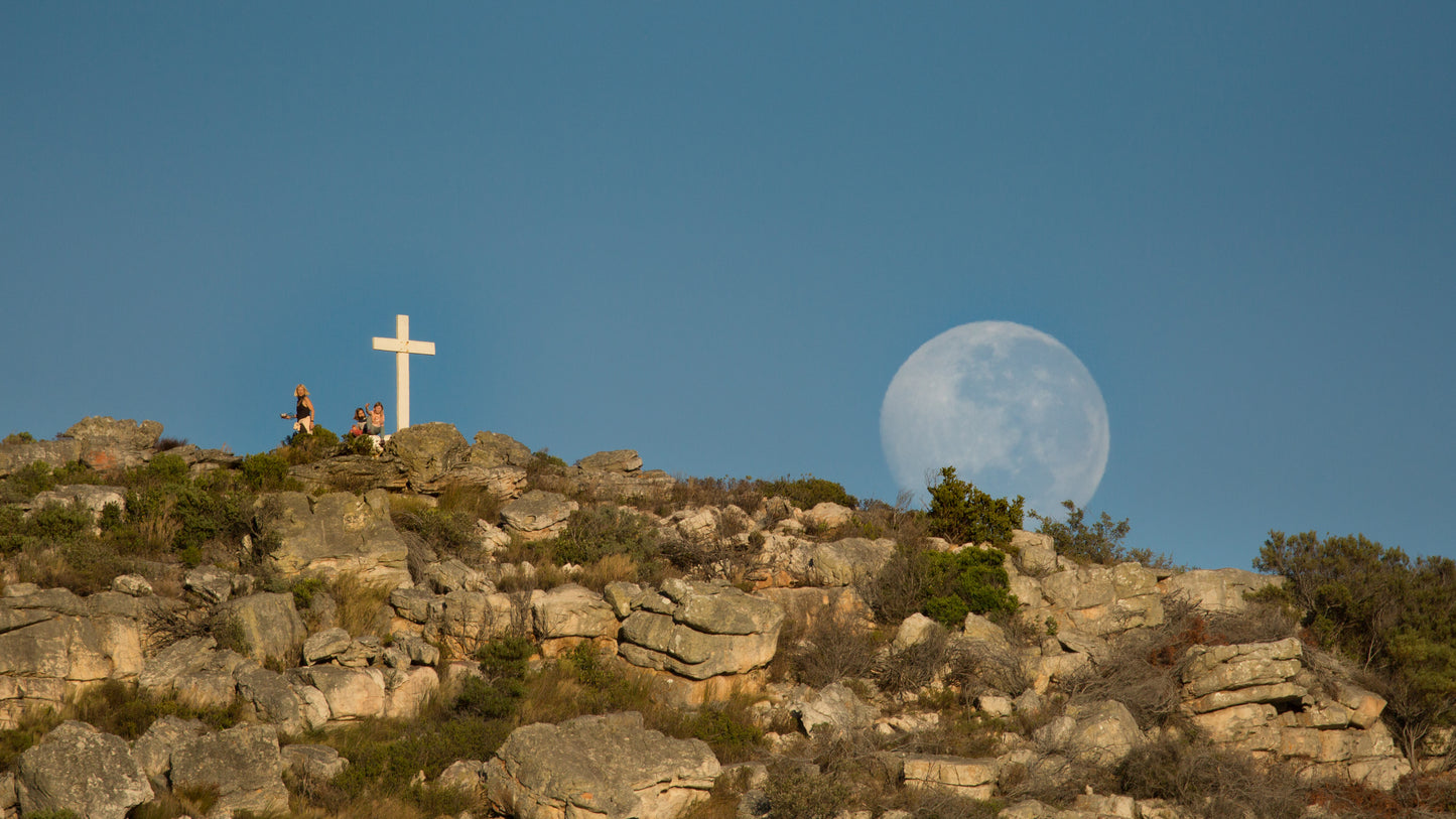 Private Cape Peninsula Eco-Experience