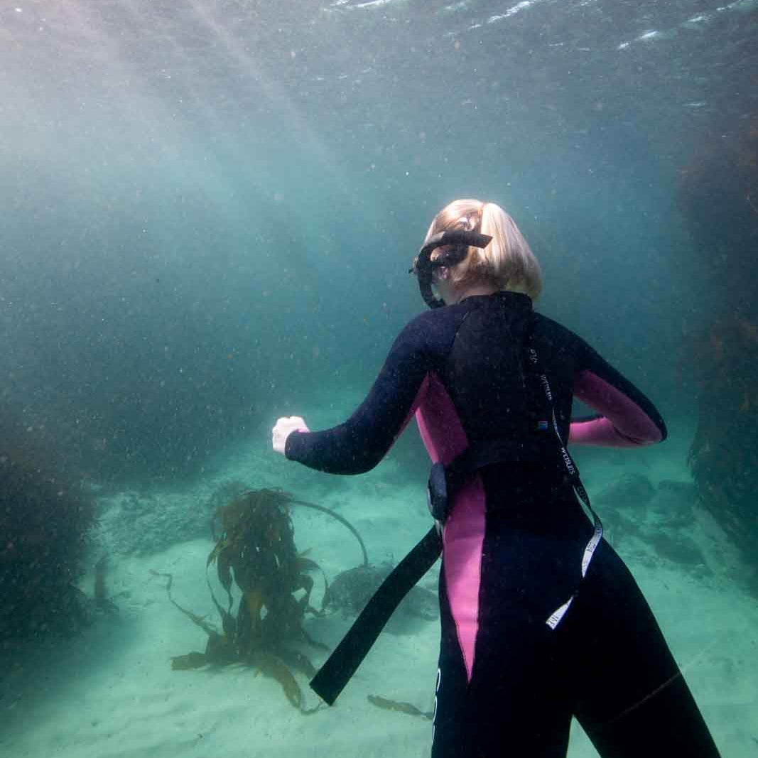 Kelp Forest Snorkeling Experience in Cape Town